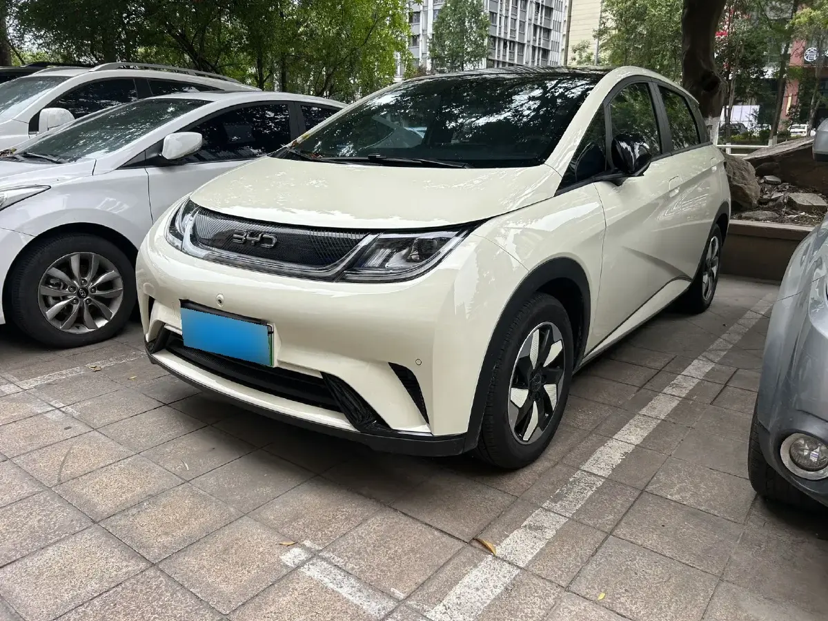 2025 BYD Dolphin BEV 44.928KWH