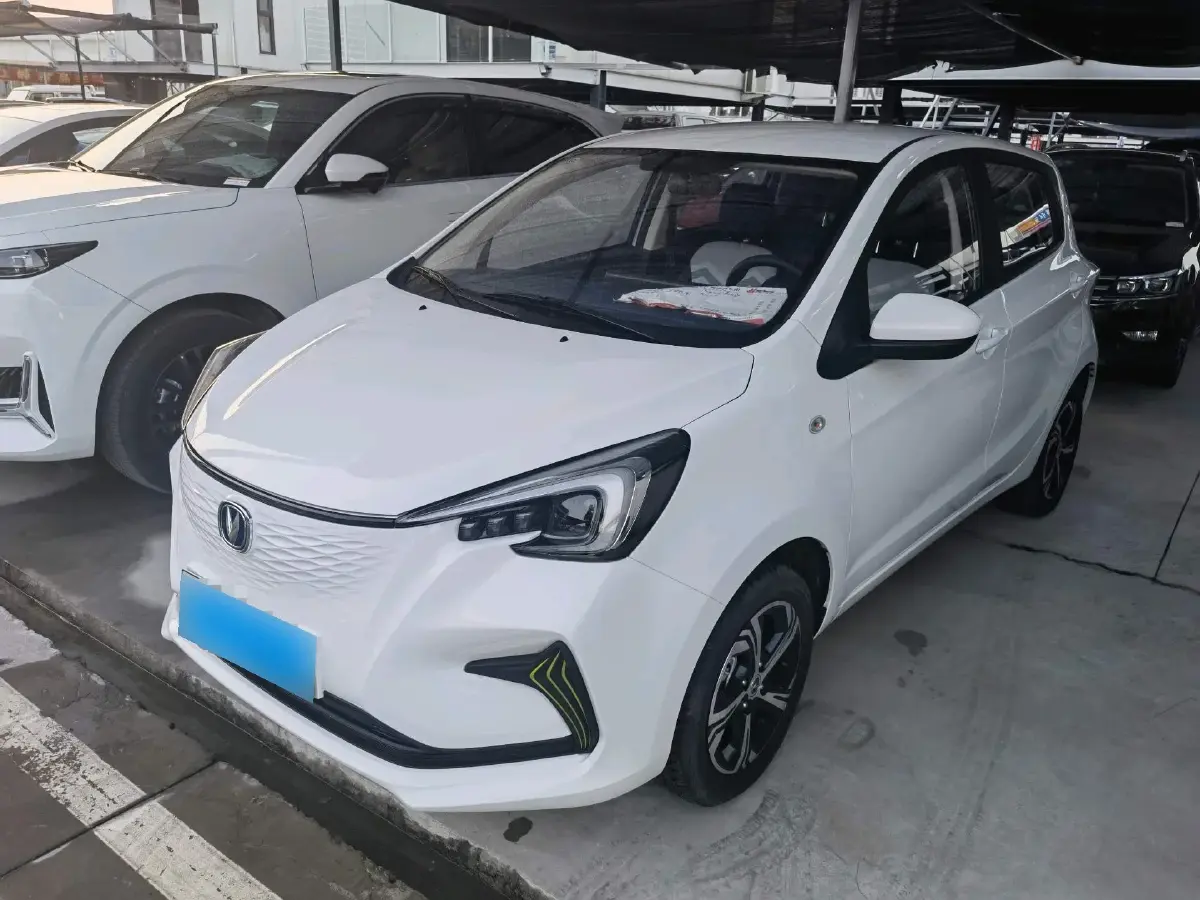 2023 ChangAn BenBen E-Star BEV 30.95KWH