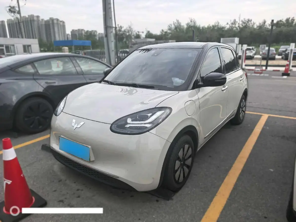 2023 WuLing BinGuo BEV 31.9KWH