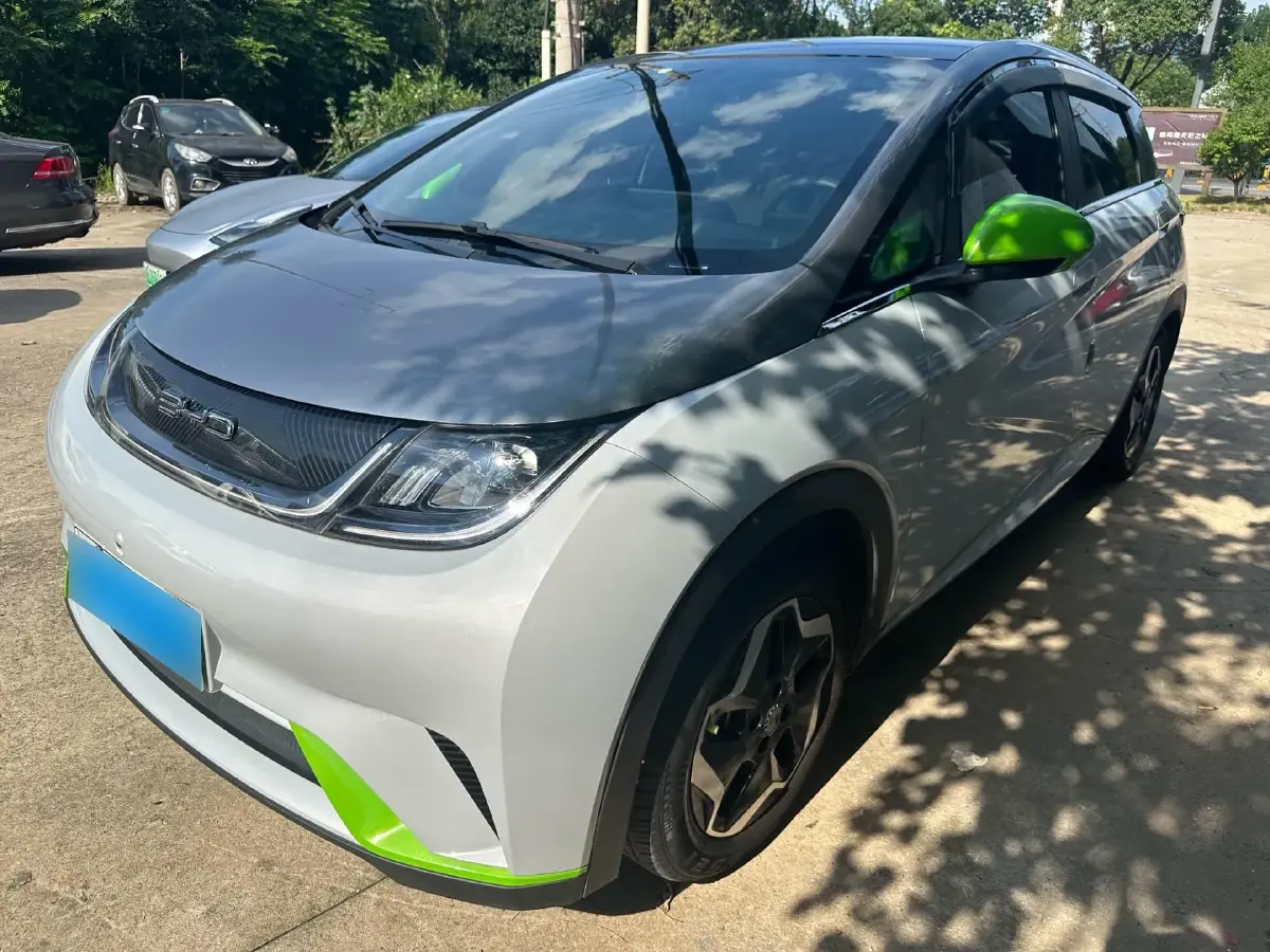 2021 BYD Dolphin BEV 44.9KWH