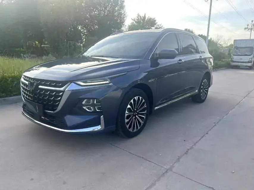 2023 WuLing KaiJie 2.0L 136HP L4 1DHT Hybrid