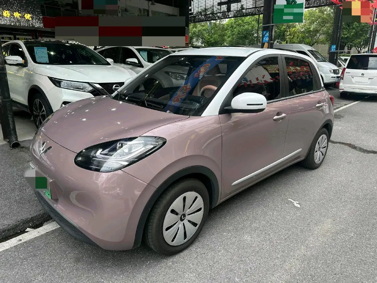 2023 WuLing BinGuo BEV 17.3KWH