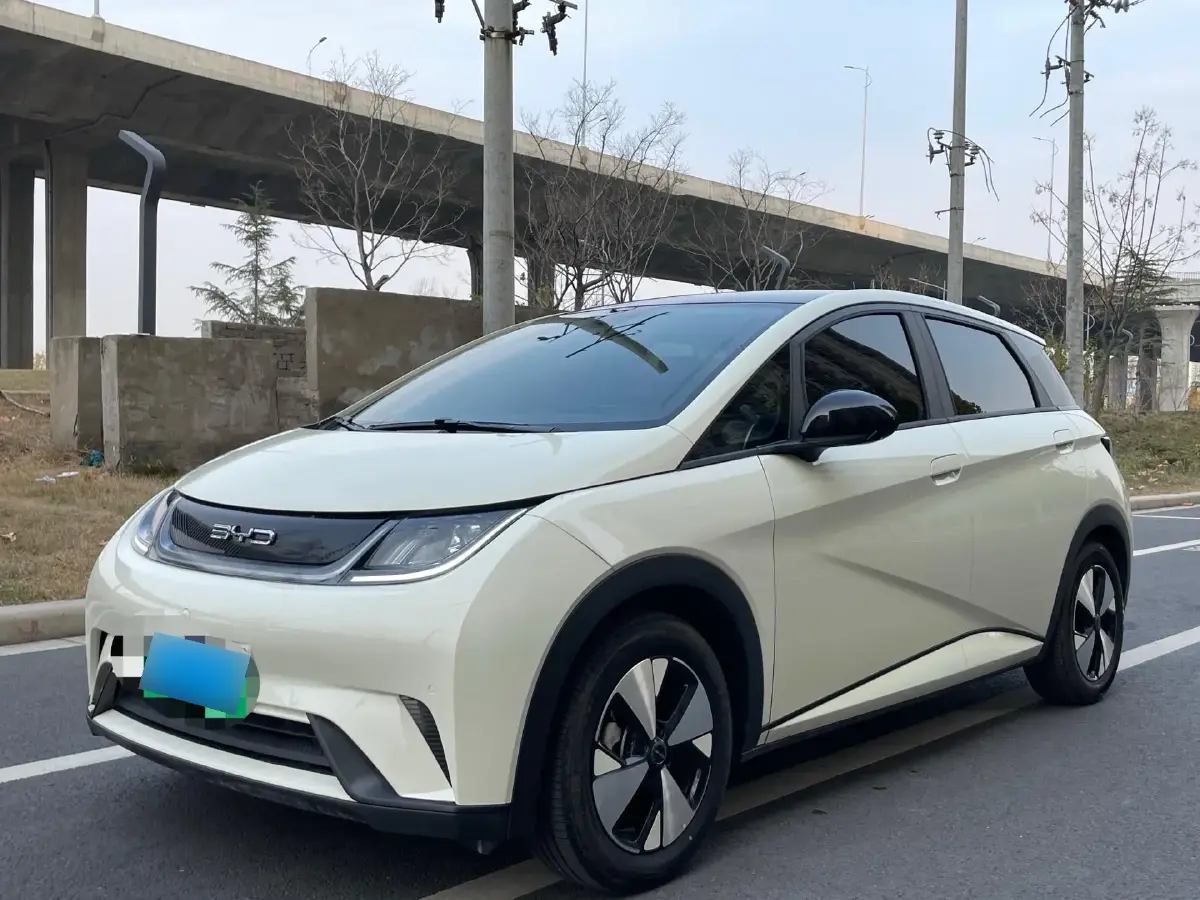 2021 BYD Dolphin BEV 44.9KWH