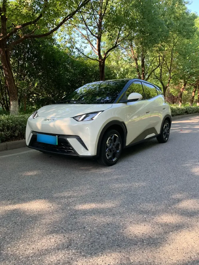 2025 BYD Seagull BEV 30.08KWH