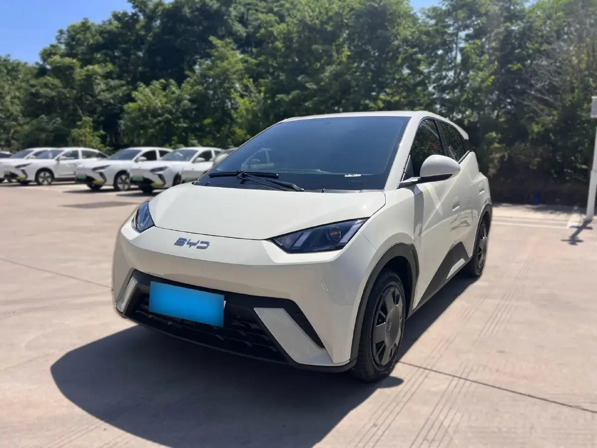 2025 BYD Seagull BEV 30.08KWH