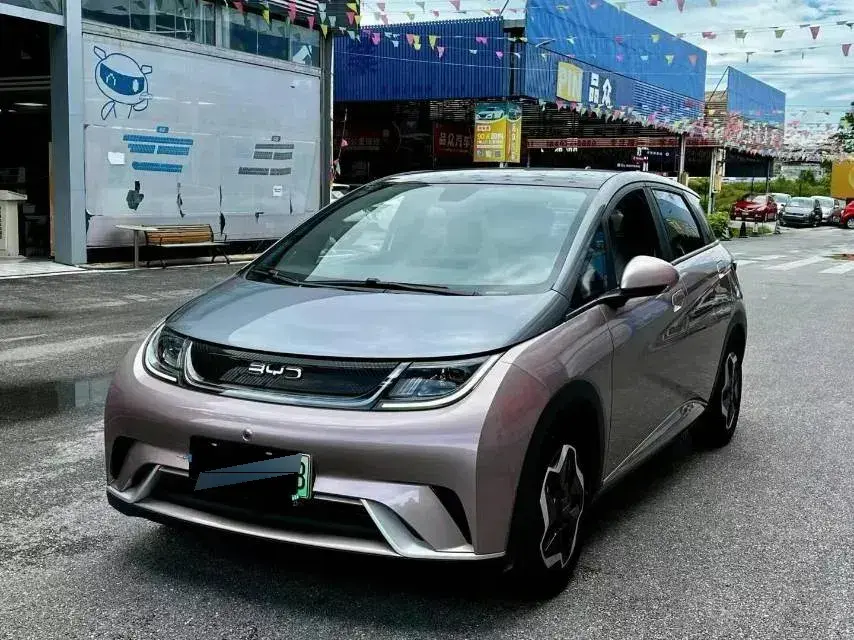 2021 BYD Dolphin BEV 44.9KWH