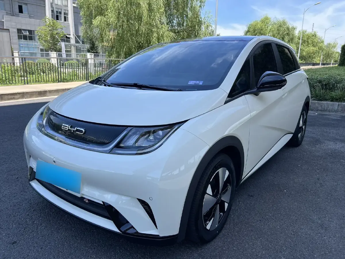 2023 BYD Dolphin BEV 44.928KWH