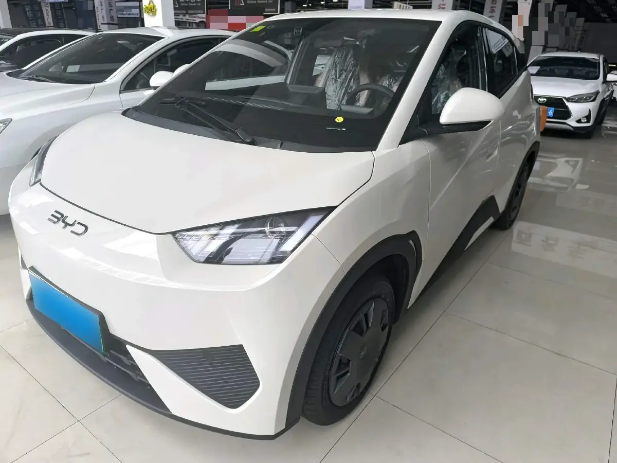 2025 BYD Seagull BEV 30.08KWH