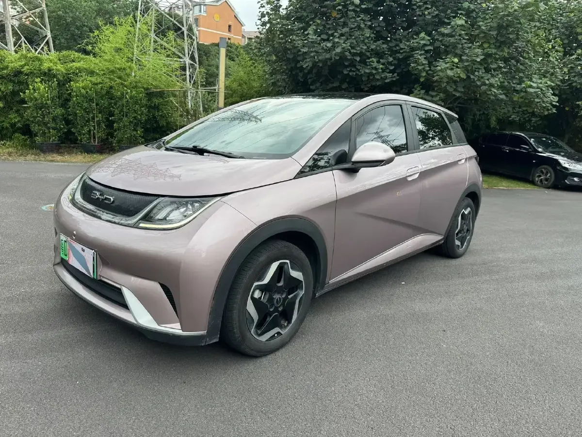 2021 BYD Dolphin BEV 44.9KWH