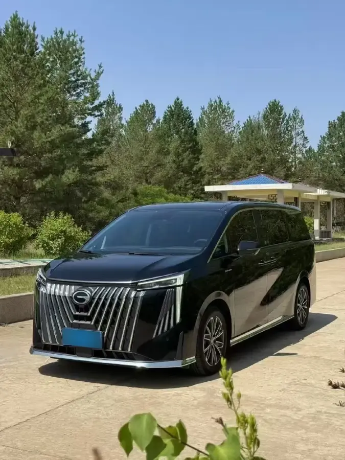 2024 GAC Trumpchi M8 2.0T 252HP L4 8AT