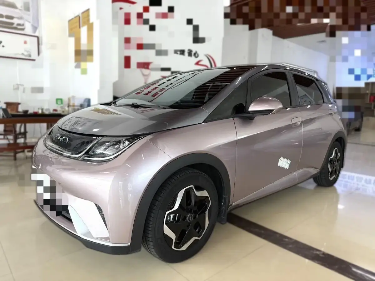 2021 BYD Dolphin BEV 44.9KWH