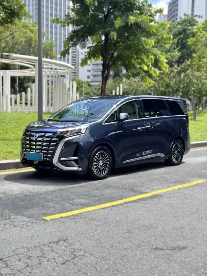 2024 Denza D9 1.5T 139HP L4 E-CVT PHEV 40KWH