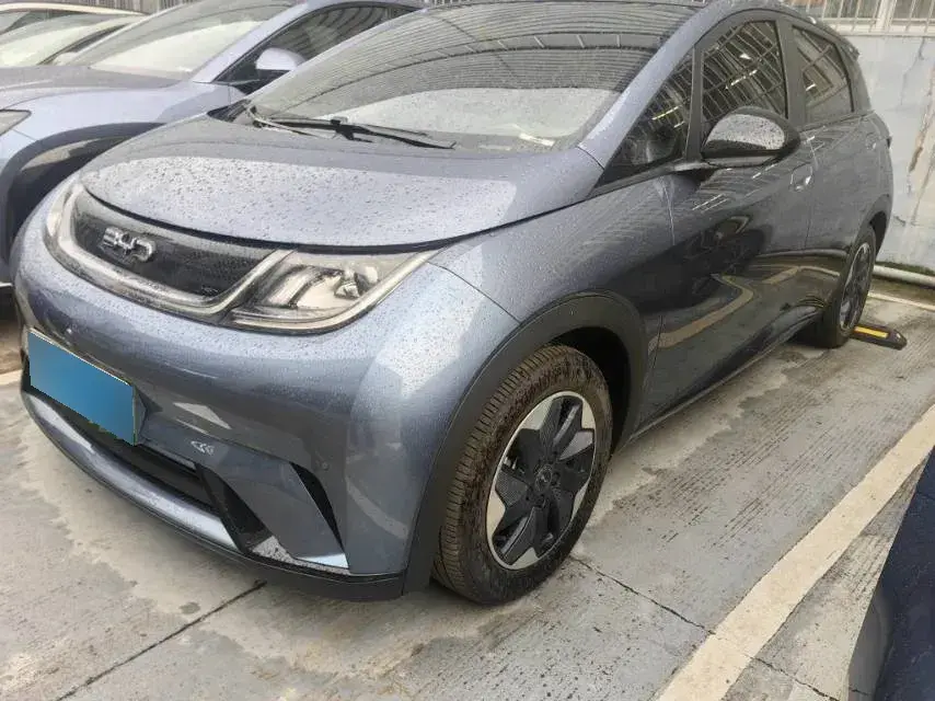 2024 BYD Dolphin BEV 44.928KWH
