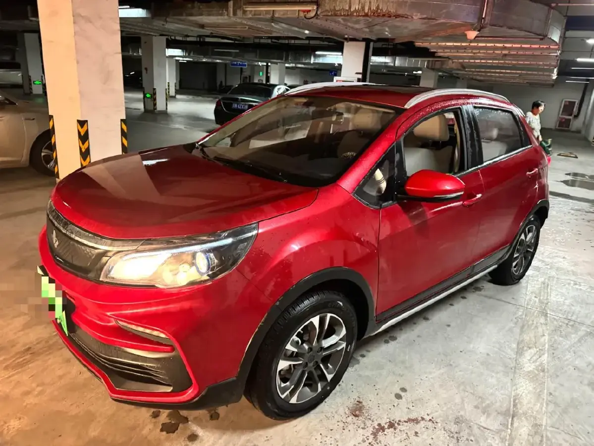 2020 Livan Maple 30X BEV 37KWH