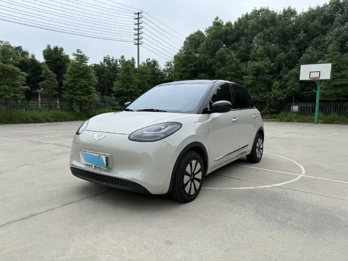 2024 WuLing BinGuo BEV 31.9KWH