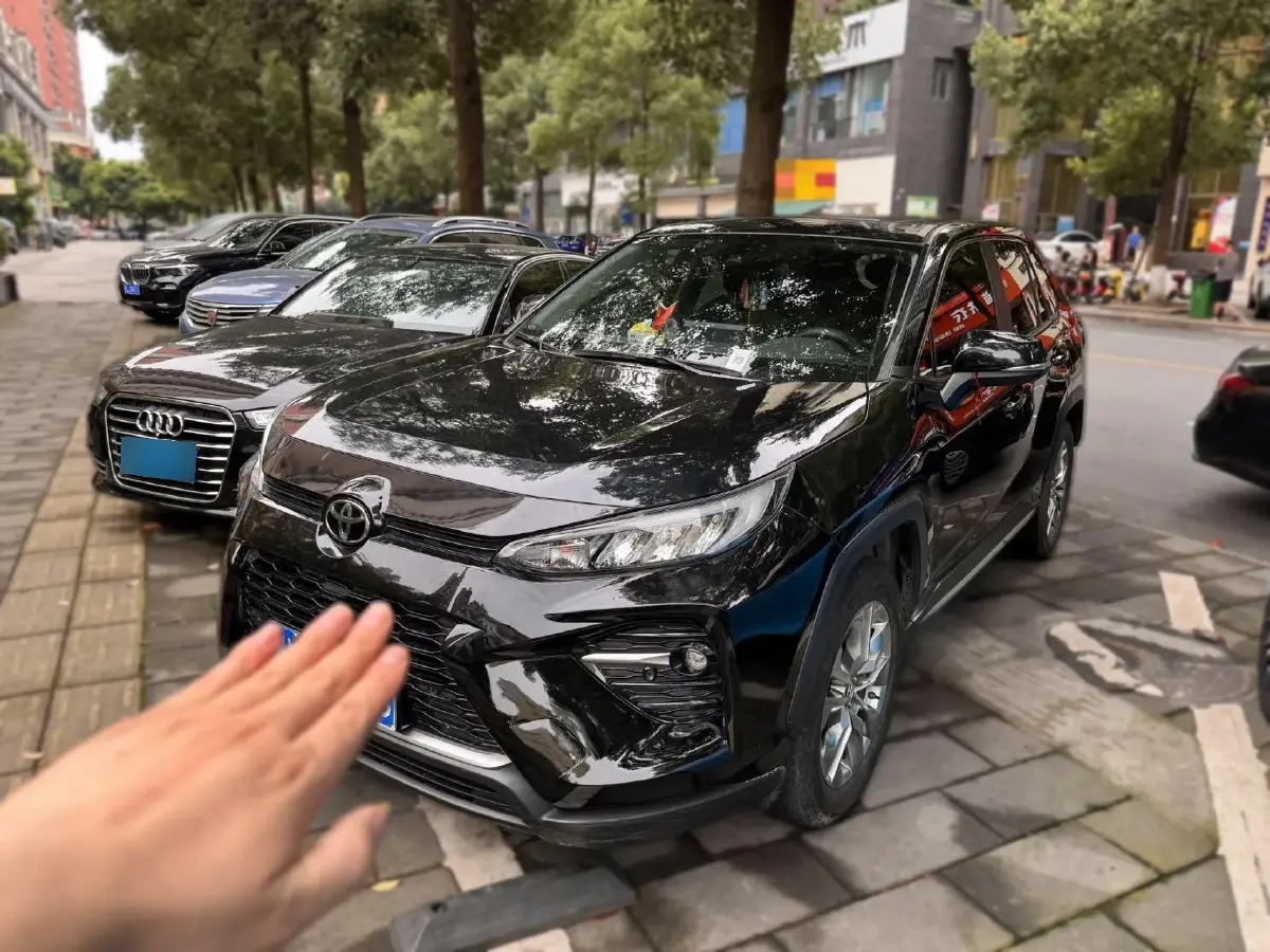 2020 Toyota Wildlander 2.0L 171HP L4 CVT