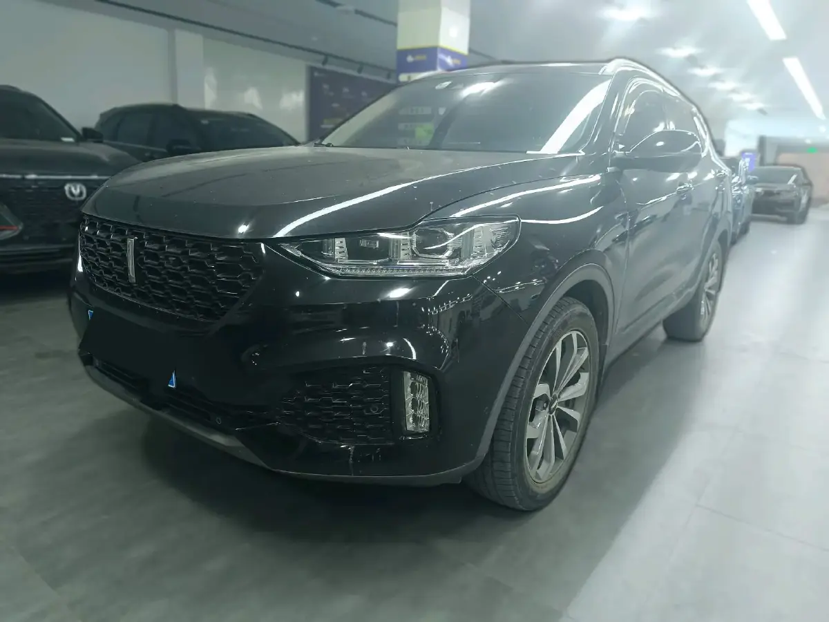 2018 WEY VV6 2.0T 197HP L4 7DCT