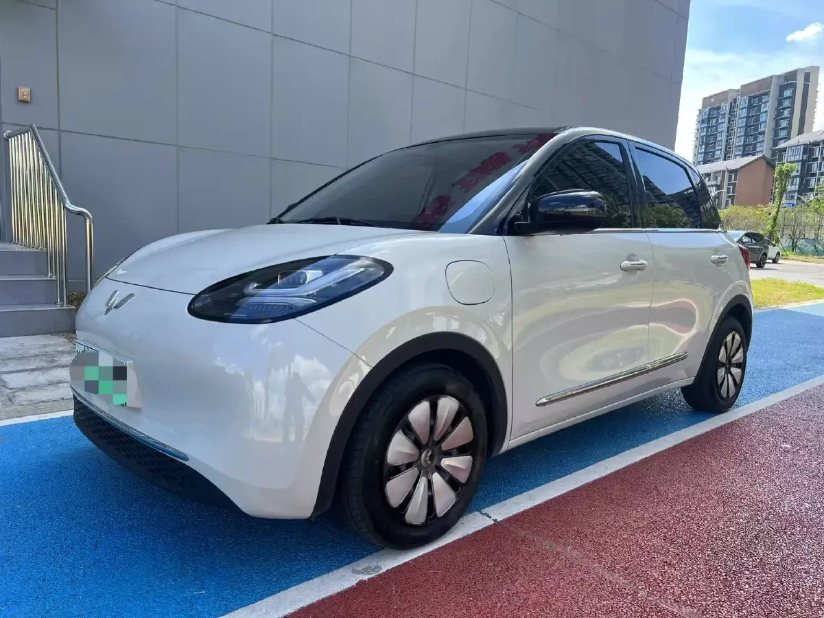 2023 WuLing BinGuo BEV 31.9KWH