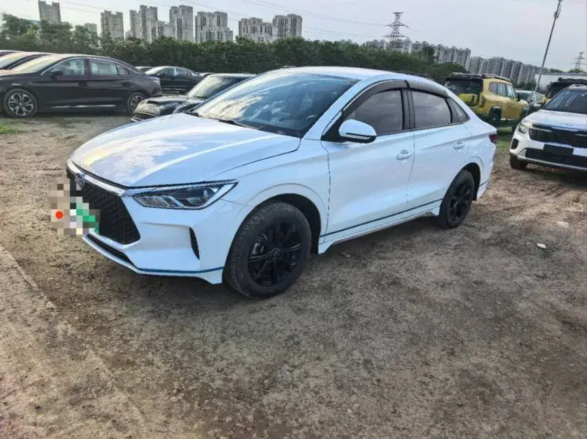 2021 BYD e3 BEV 43.2KWH