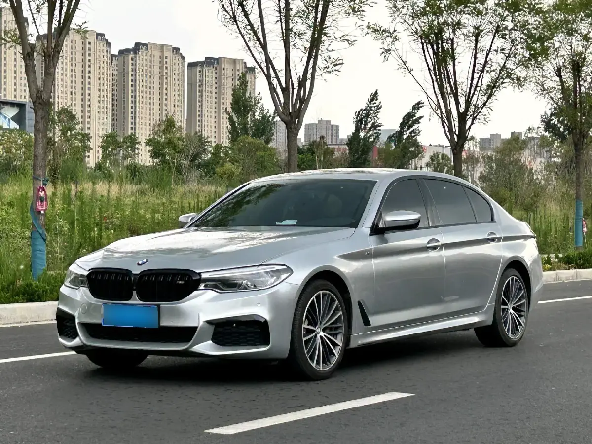 2020 BMW 5 Series 2.0T 252HP L4 8AT