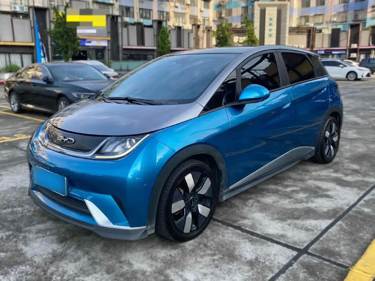2021 BYD Dolphin BEV 44.9KWH