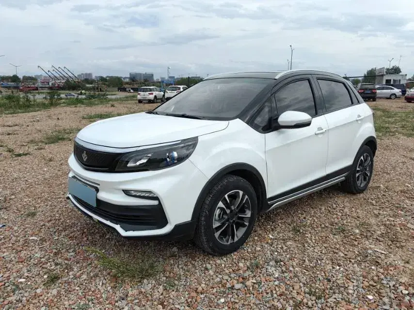 2020 Livan Maple 30X BEV 37KWH