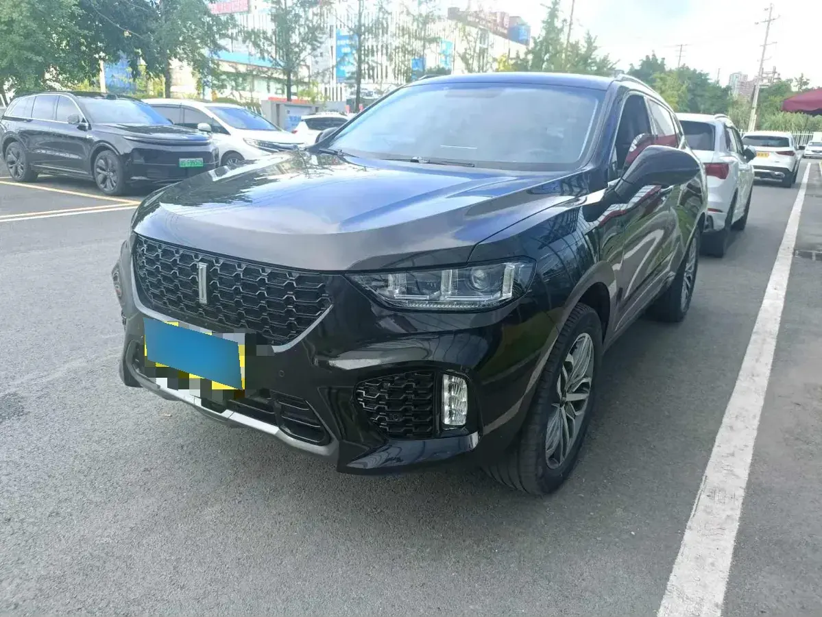 2019 WEY VV5 2.0T 224HP L4 7DCT