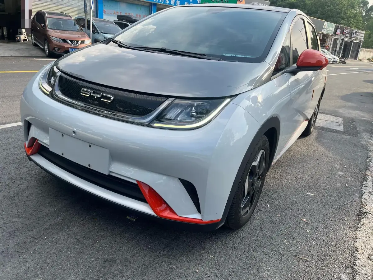 2021 BYD Dolphin BEV 44.9KWH