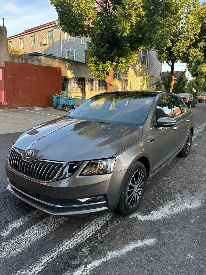 2019 Skoda Octavia 1.2T 116HP L4 7DCT
