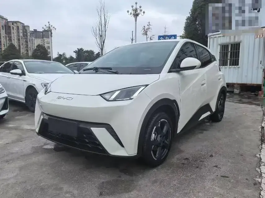 2023 BYD Seagull BEV 30.08KWH