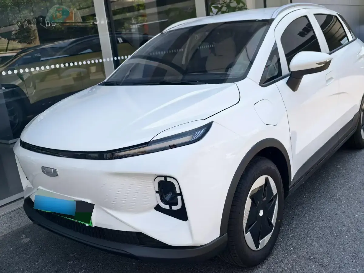 2024 Geometry E BEV 29.67KWH