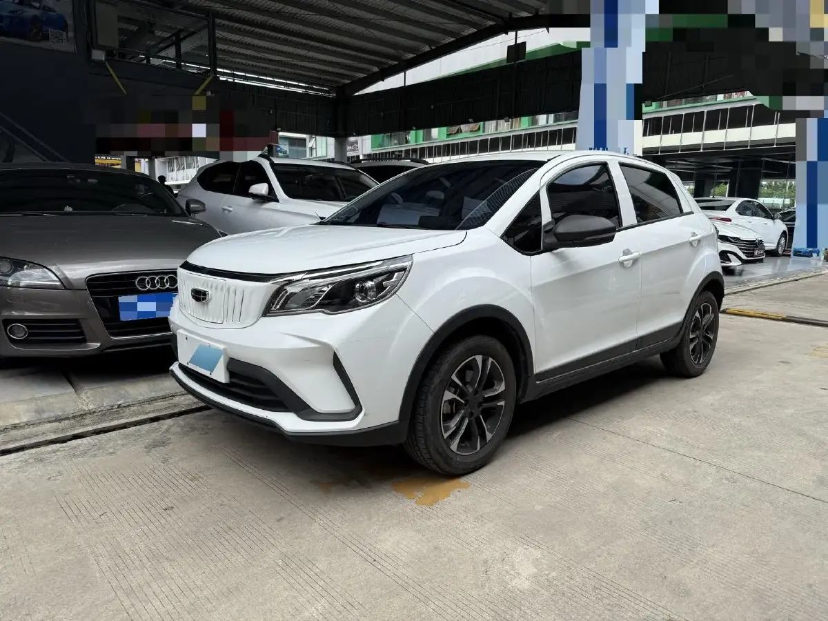 2021 Geometry EX3 BEV 37.23KWH