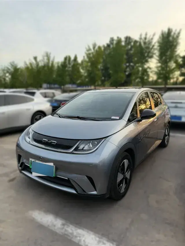 2023 BYD Dolphin BEV 44.928KWH