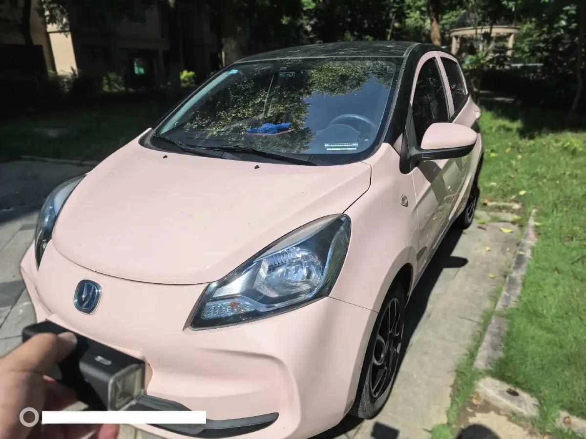 2021 ChangAn BenBen E-Star BEV 31.86KWH