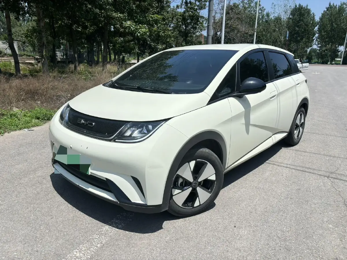 2023 BYD Dolphin BEV 44.928KWH