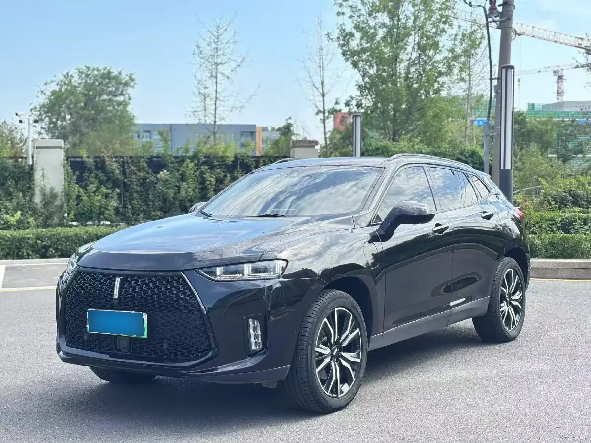 2018 WEY P8 2.0T 234HP L4 6DCT PHEV 12.96KWH