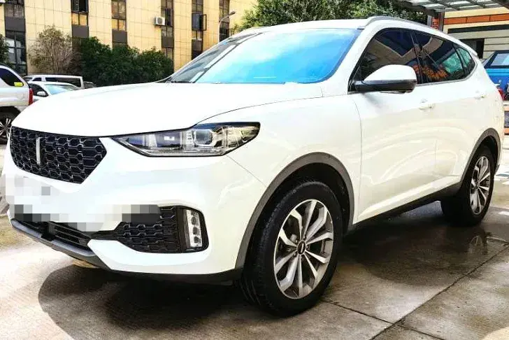 2018 WEY VV6 2.0T 197HP L4 7DCT