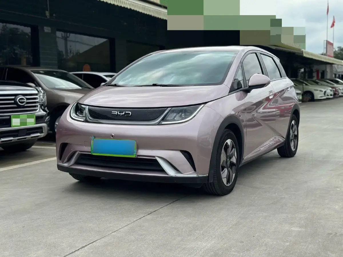 2024 BYD Dolphin BEV 44.928KWH