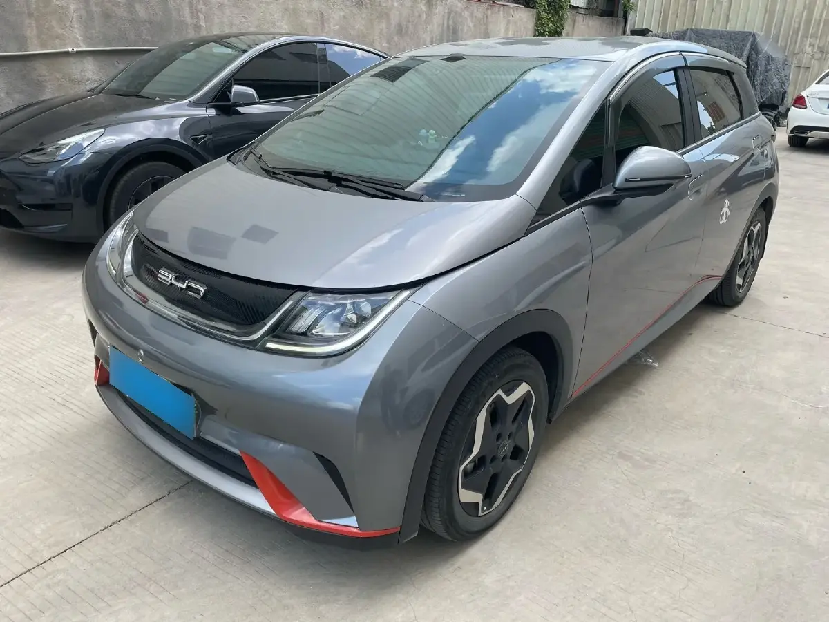 2021 BYD Dolphin BEV 44.9KWH