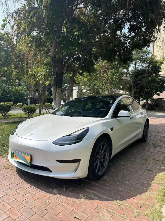 2021 Tesla Model 3 BEV 55KWH