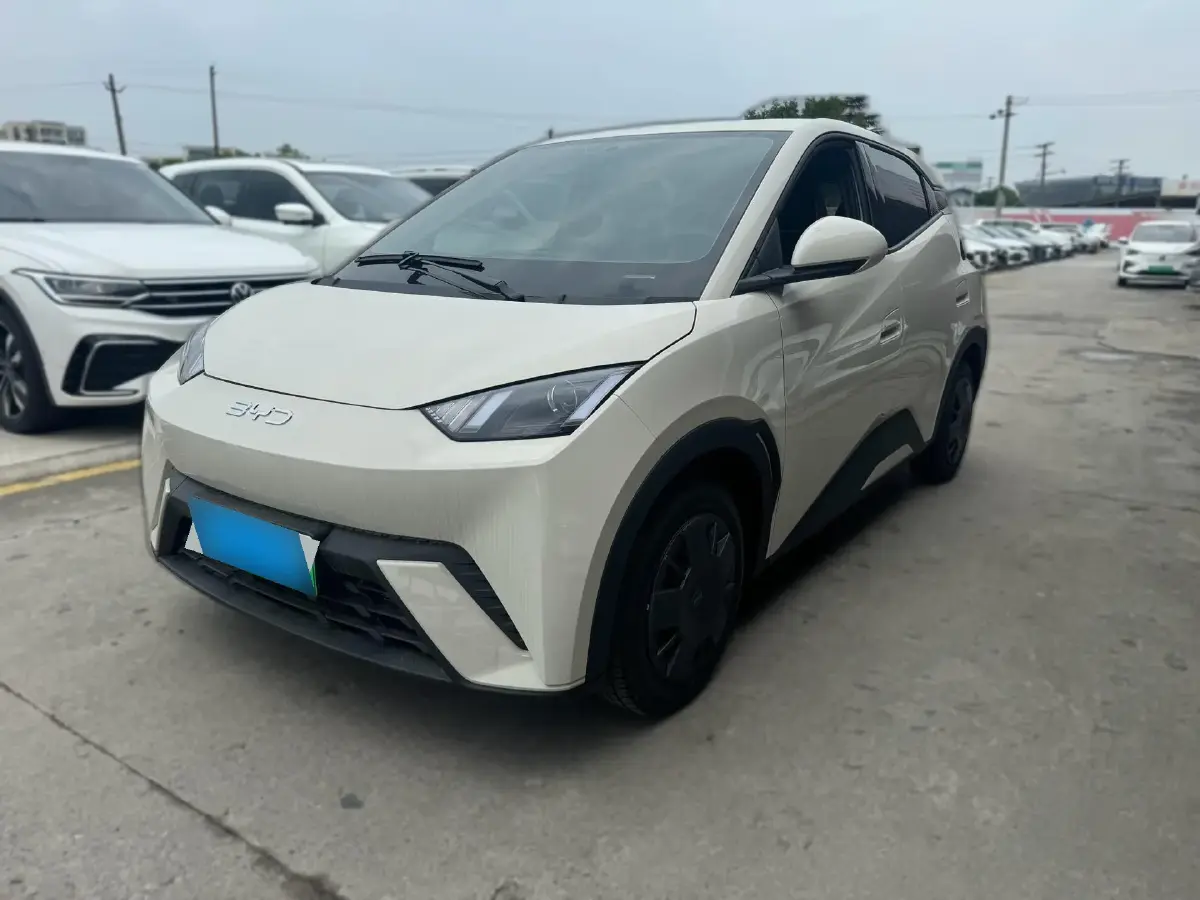 2025 BYD Seagull BEV 30.08KWH