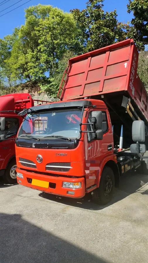 2015 Dongfeng DongFeng Pickup 2.4T 82HP L4 5MT