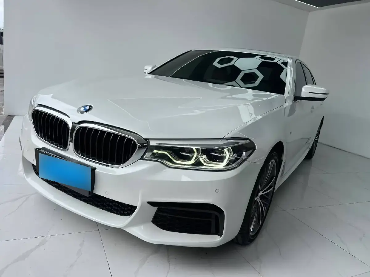2020 BMW 5 Series 2.0T 252HP L4 8AT