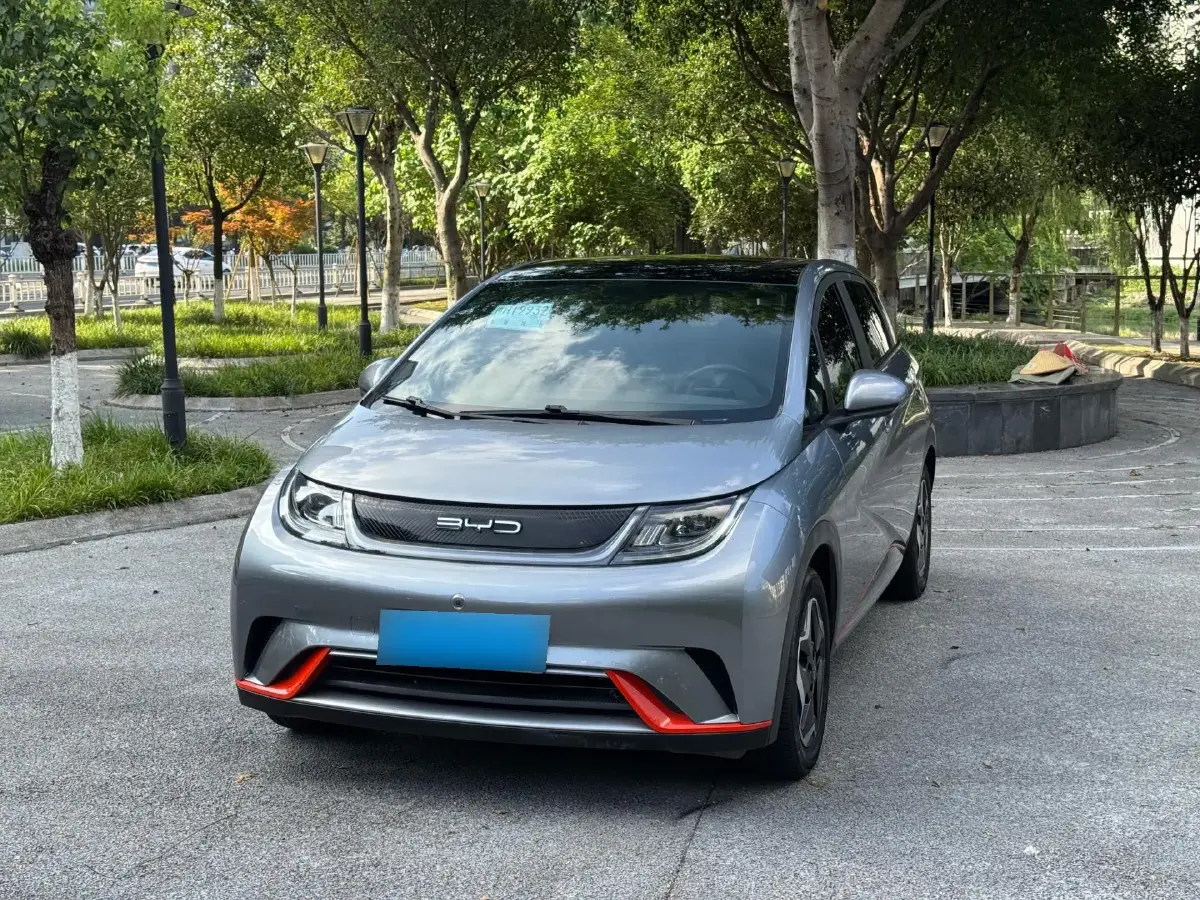2021 BYD Dolphin BEV 44.9KWH