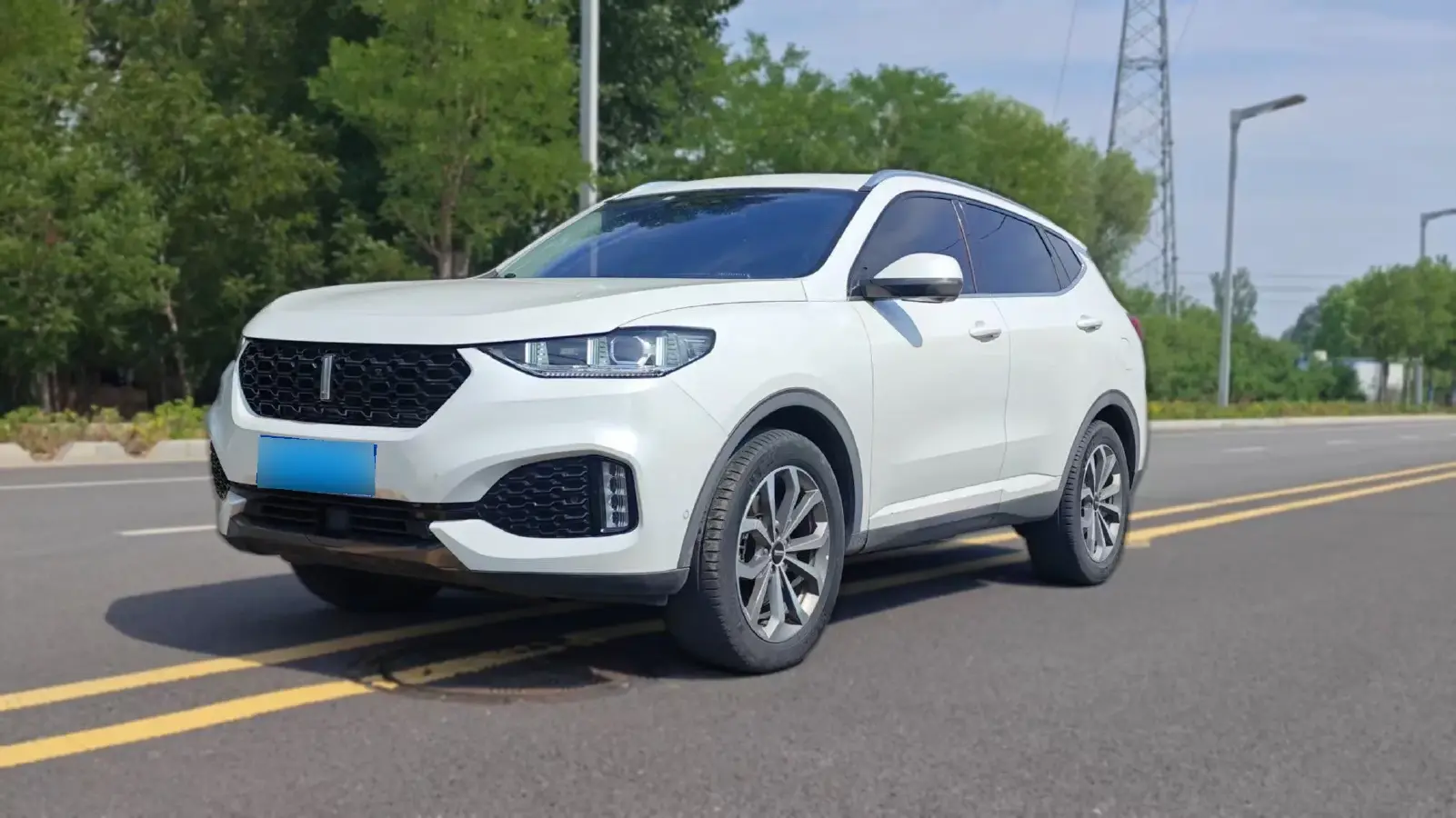 2019 WEY VV6 2.0T 224HP L4 7DCT