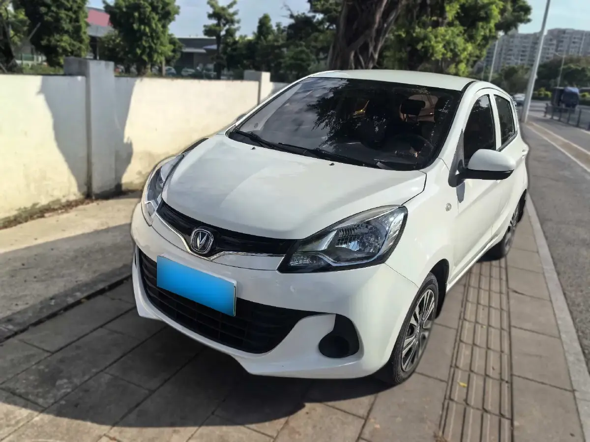 2021 ChangAn BenBen E-Star BEV 31.95KWH