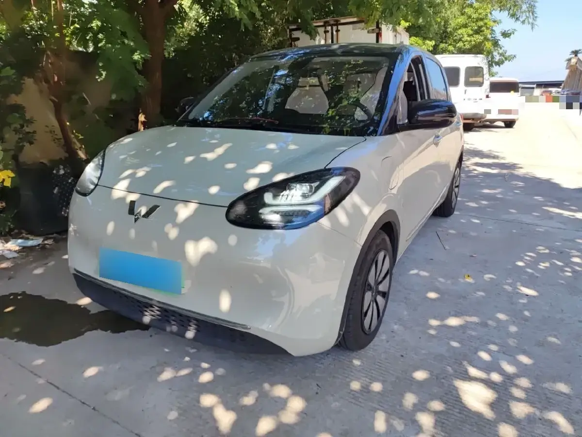 2023 WuLing BinGuo BEV 31.9KWH