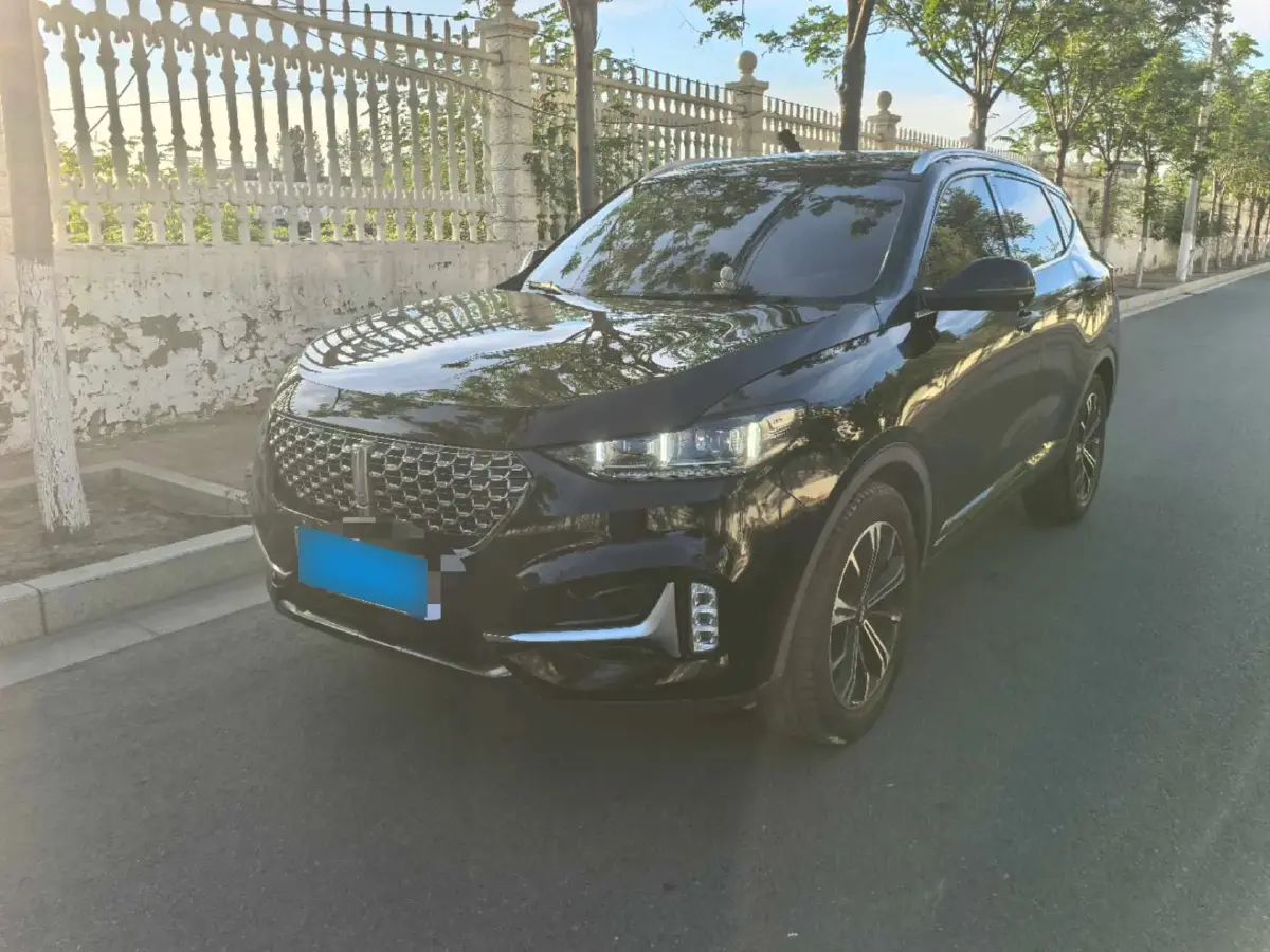 2021 WEY VV6 2.0T 227HP L4 7DCT