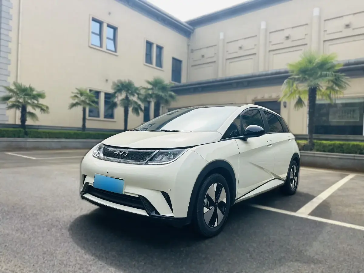 2023 BYD Dolphin BEV 44.928KWH