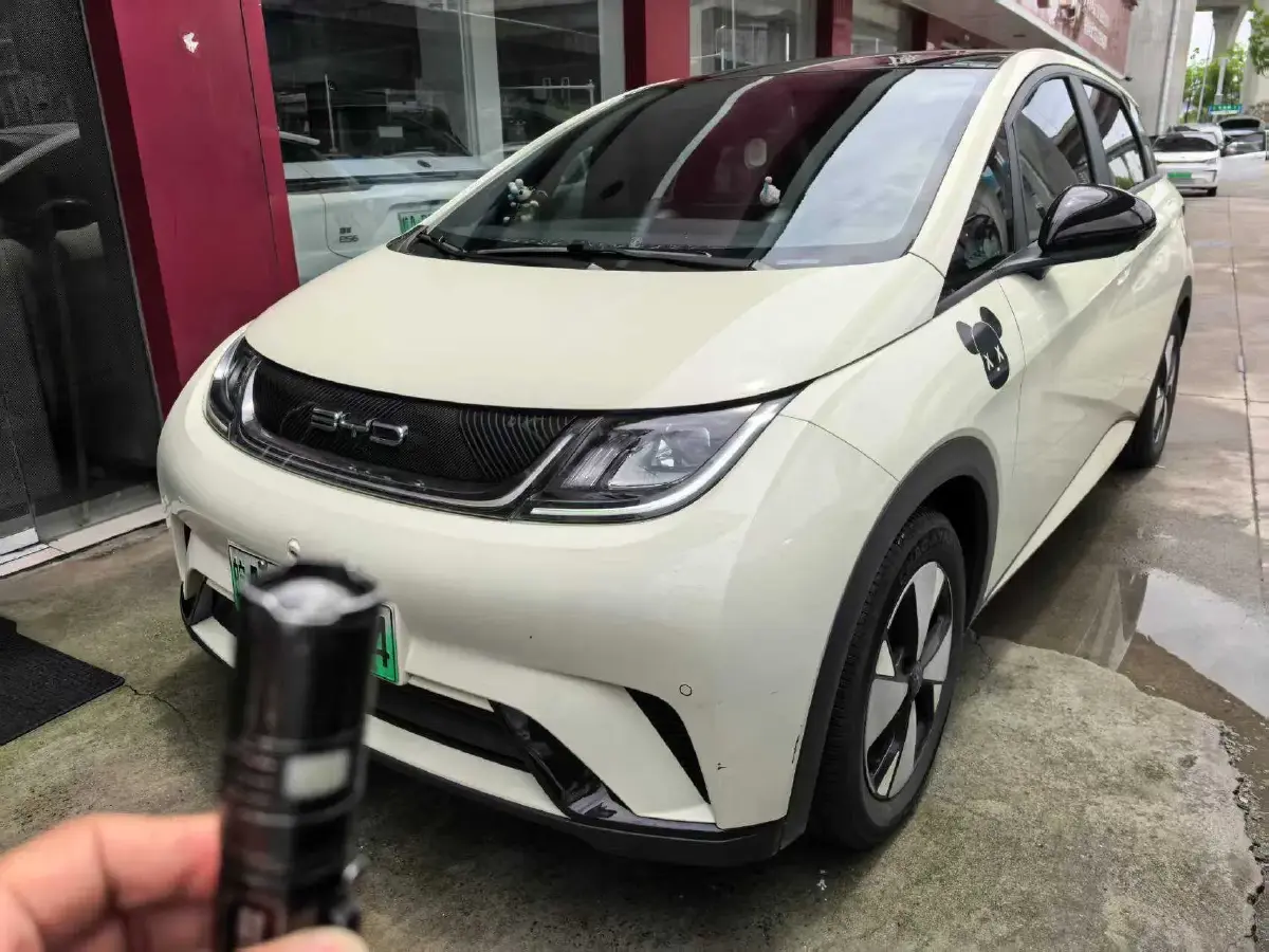 2023 BYD Dolphin BEV 44.928KWH